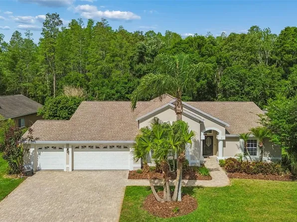 19004 Saint Laurent Dr, Lutz, FL 33558