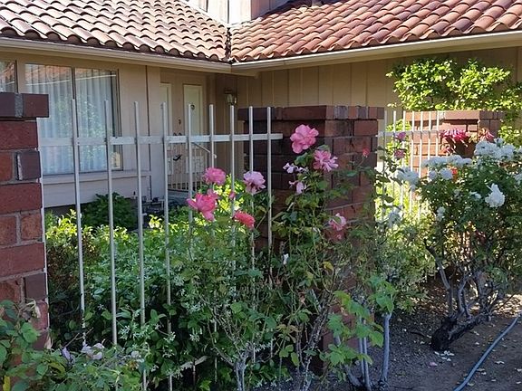 3rd image of 3974 Anastasia Dr