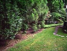 1st image of 67 Wensley Dr
