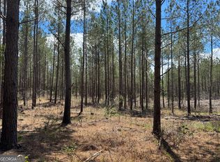 2 Lipham Rd, Franklin, GA 30217