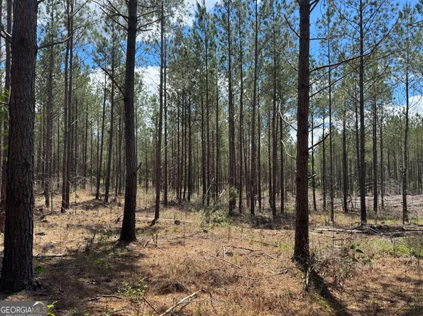 2 Lipham Rd, Franklin, GA 30217