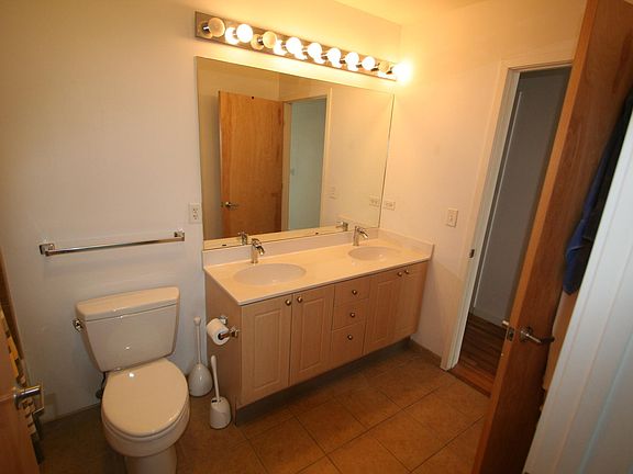 3rd image of 1621 S Michigan Ave #810