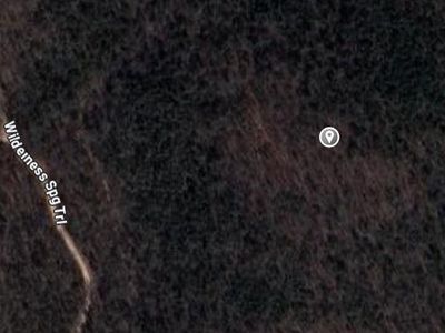 Wilderness Spring Trl, Lead Hill, AR, 72644