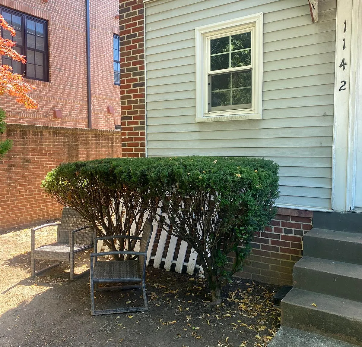 1 bed, $925 — Photo 3