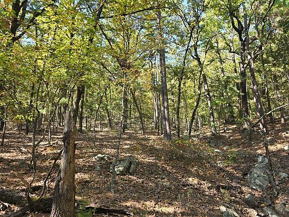 5th image of 72 Poteau Mountain Rd