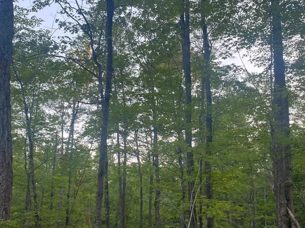 LOT 5 Church Rd, Conover, WI 54519