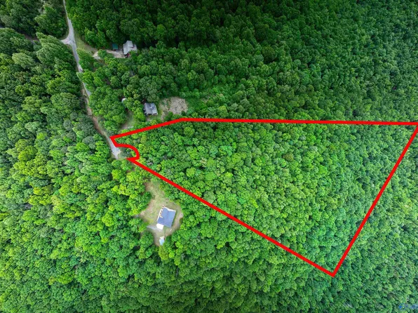 County Road 1025, Fort Payne, AL 35967