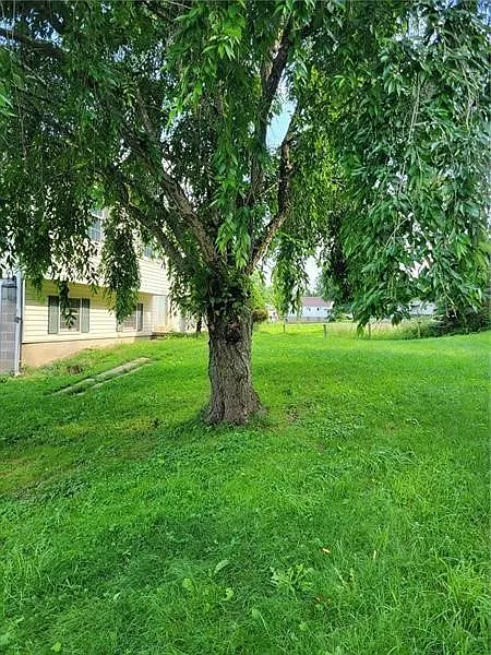 3 bed, $2,500 — Photo 3