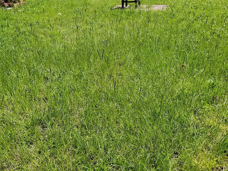 536 E Waldburg St #B — Photo 13