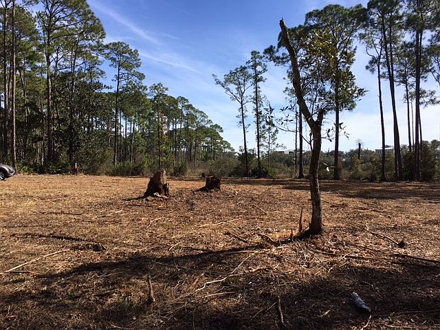 1st image of 1.61 Lot On Hwy 98