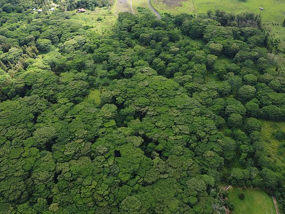 5th image of 17-4113 Kukui Camp Rd Lot 30