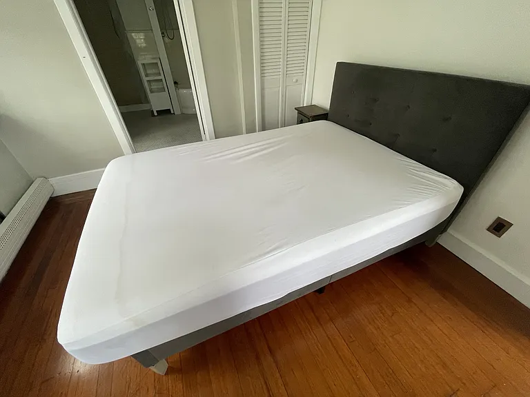 88 Cooke St #6 — Photo 9