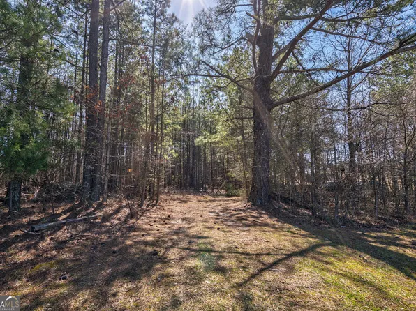 202 Kent Rock Rd Tract 4, Loganville, GA 30052