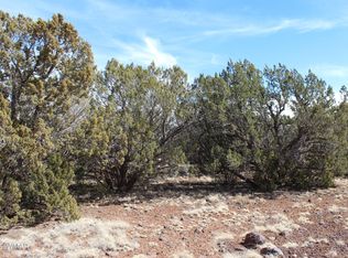 LOT-92C County Road 8238, Concho, AZ 85924