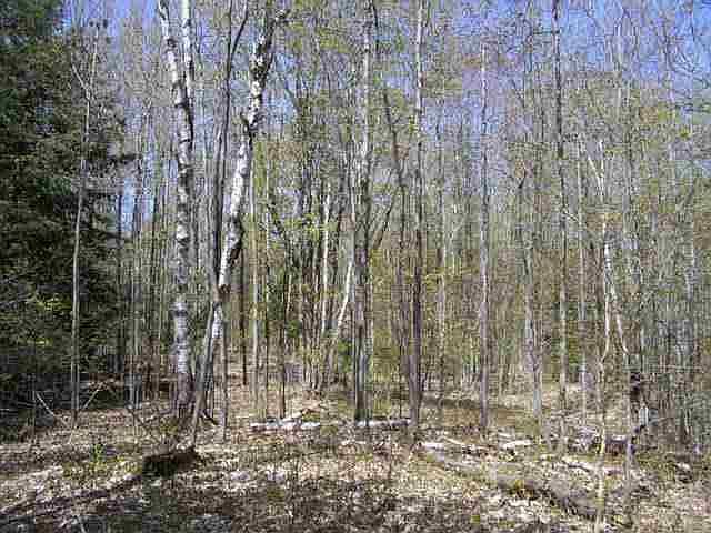 2nd image of 940 Ellinger Rd