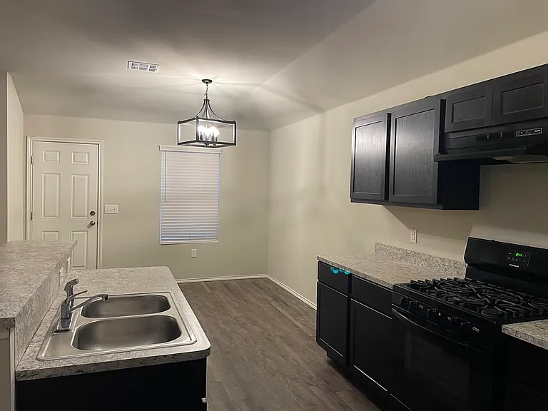 Stove, cabinets, dishwasher and backdoor that leads to the backyard