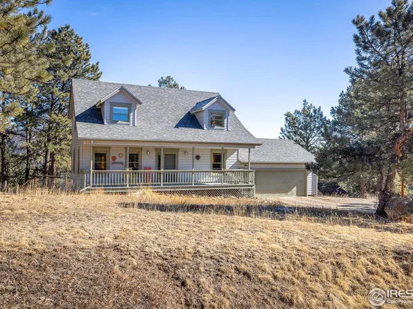 2163 Roland Dr, Bailey, CO 80421