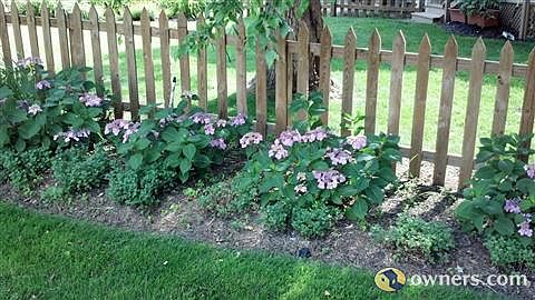 Side Garden