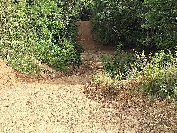 Path to back lot