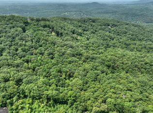 78AC Laurel Springs Rd, Mineral Bluff, GA 30559
