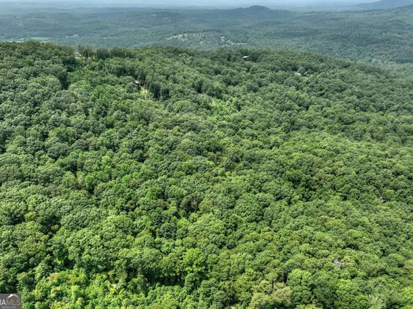 78AC Laurel Springs Rd, Mineral Bluff, GA 30559