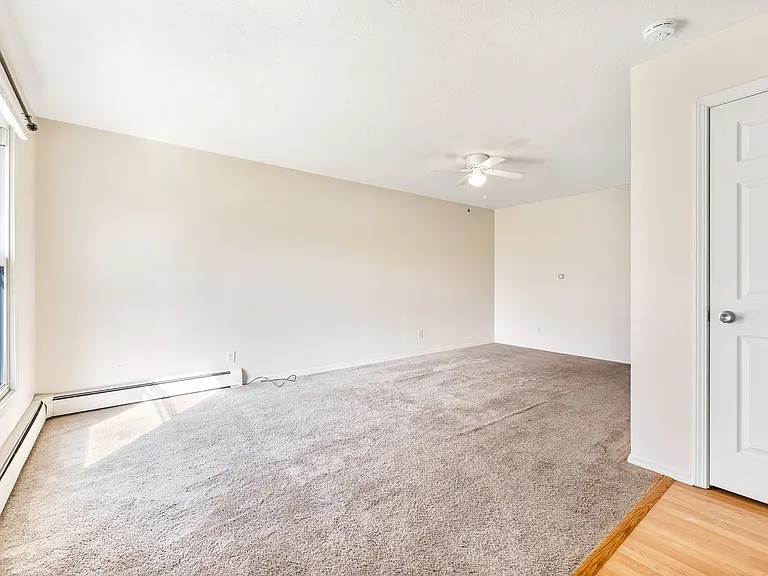 4 Larry Court — Photo 5