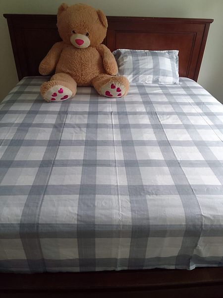 Abbotsford Apartment for rent - 2 Bedrooms in Abbotsford