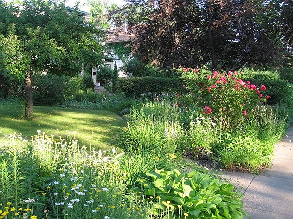 Front yard & gardens