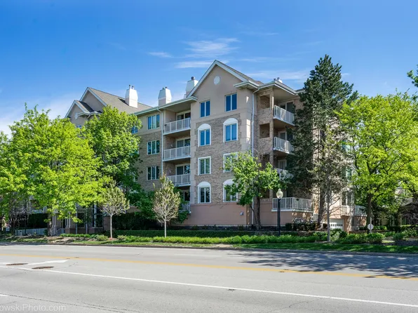 1705 Pavilion Way Unit 208, Park Ridge, IL 60068