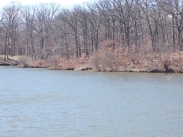 2nd image of 77 Beyers Lake Est
