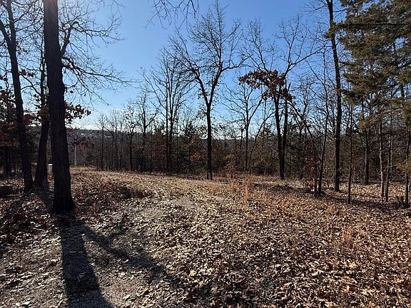 5th image of 24020 County Road 349