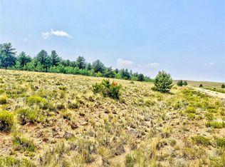 887 Superstition Trl, Hartsel, CO 80449