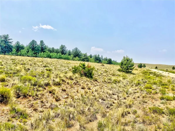 887 Superstition Trl, Hartsel, CO 80449