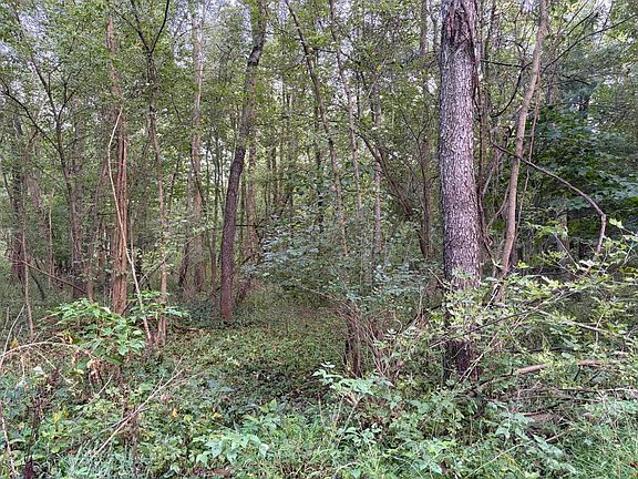 5th image of 4416 Cronk Rd