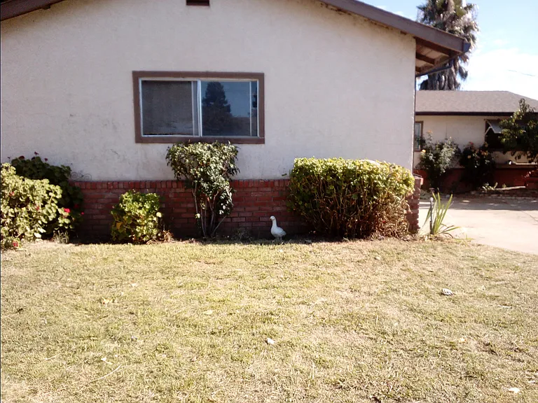 769 Ainsley Ave — Photo 11