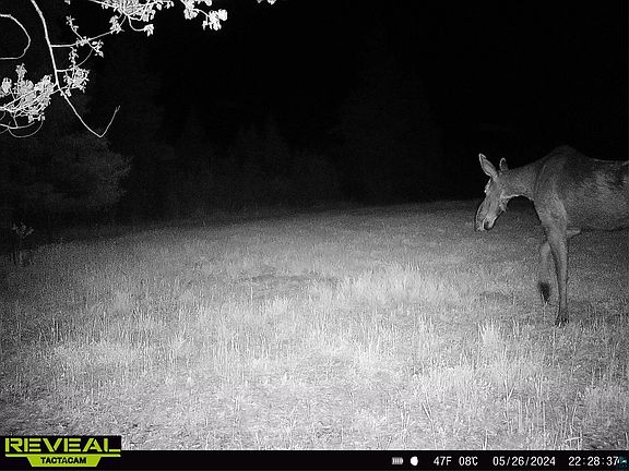 5th image of TBD Nylund Rd