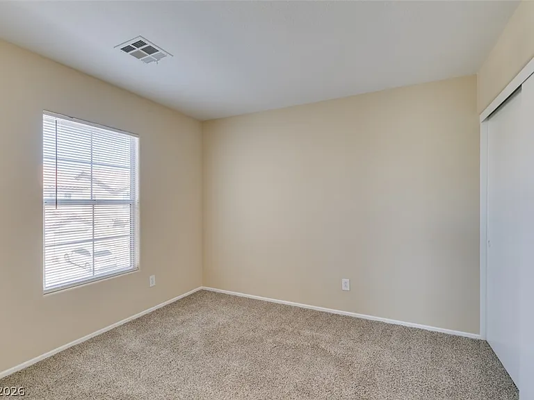 1170 Orange Meadow St — Photo 17