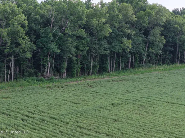 E River Rd, Anguilla, MS 38721