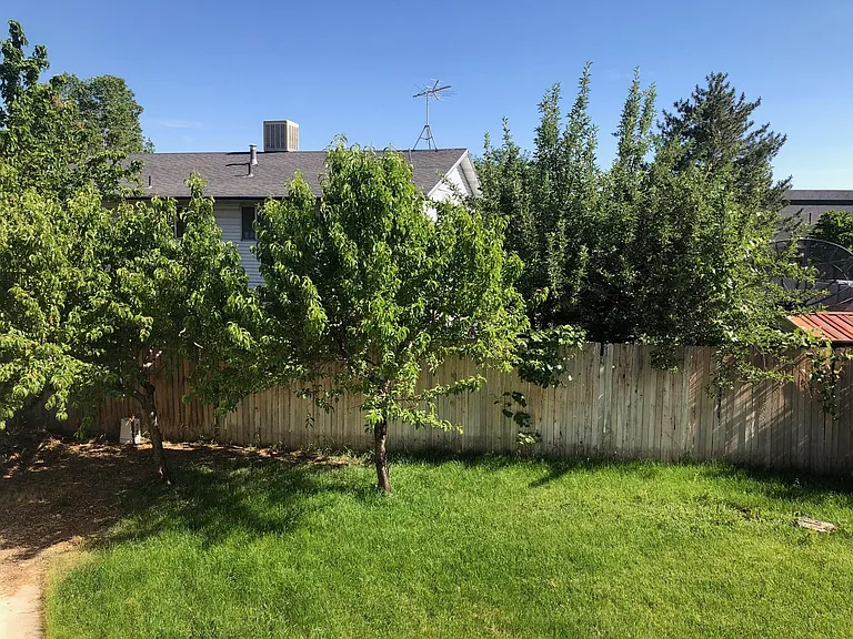 1865 Ribbonwood Dr — Photo 23