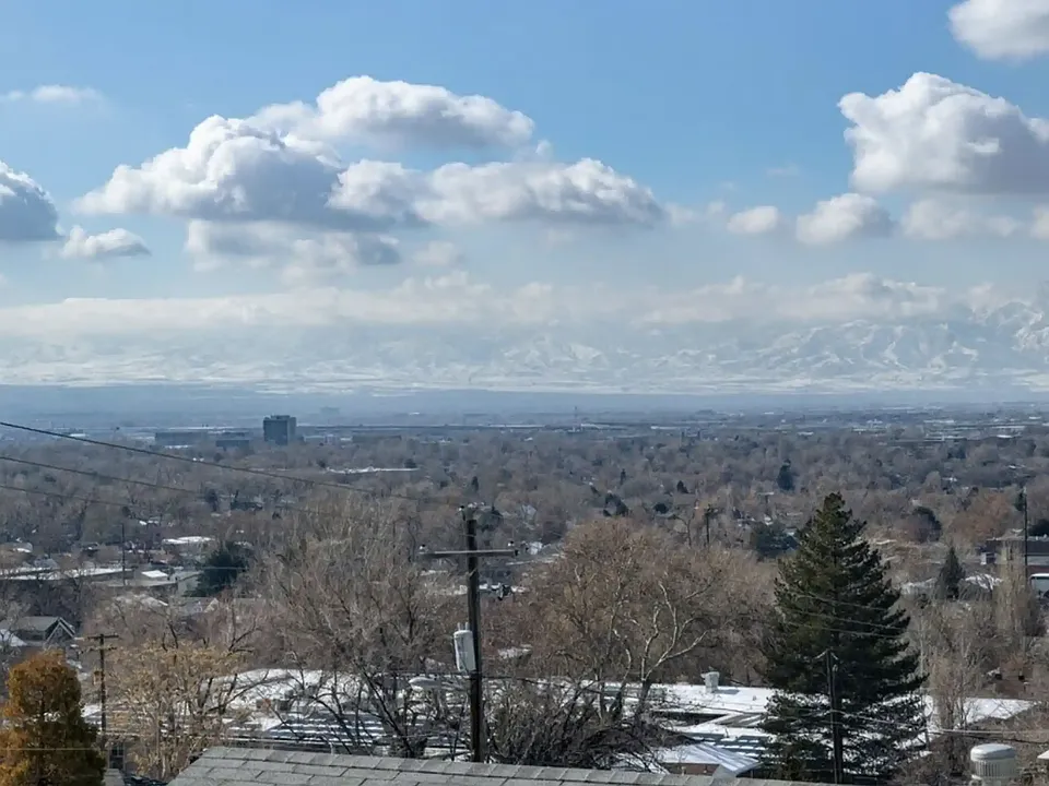 view from patio