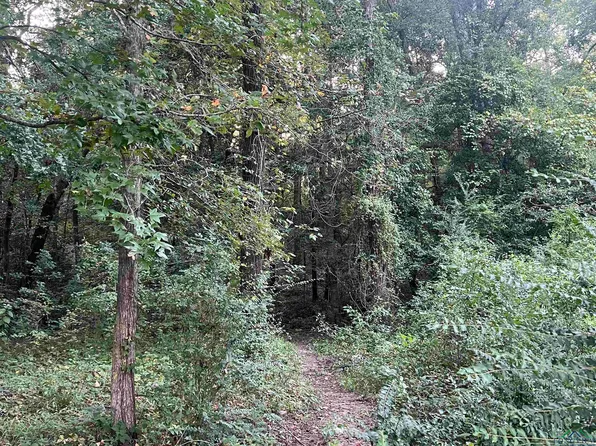 Willowood Trl, Gilmer, TX 75645