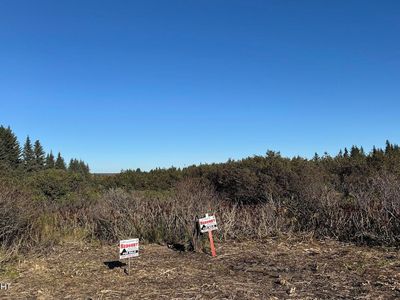 17338 Tidal Knoll Rd, Ninilchik, AK, 99639