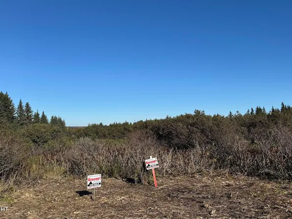 17338 Tidal Knoll Rd, Ninilchik, AK 99639