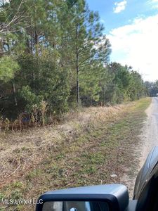 PARCEL 1 Shannon Ln, Lucedale, MS, 39452