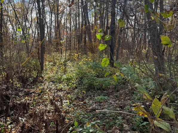 Tbd Big Pine Trl, Crosslake, MN 56442
