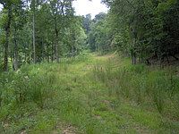 1st image of 142 Country Cove Ests