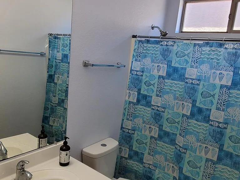 Guest bathroom