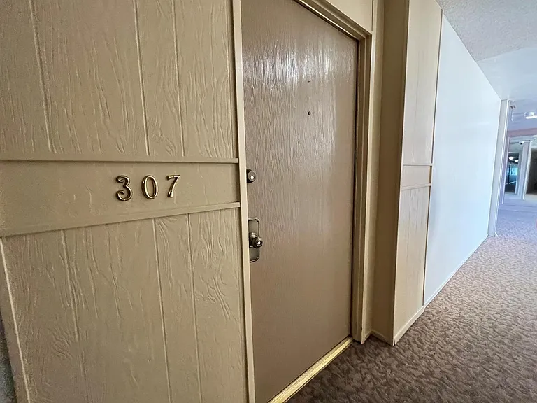 1550 Frontera Way #307 — Photo 16