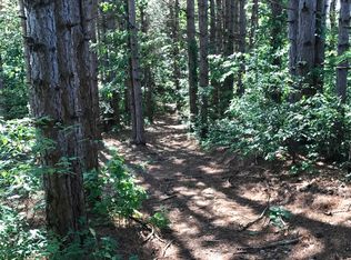 000 W Hazel, Mears, MI 49436