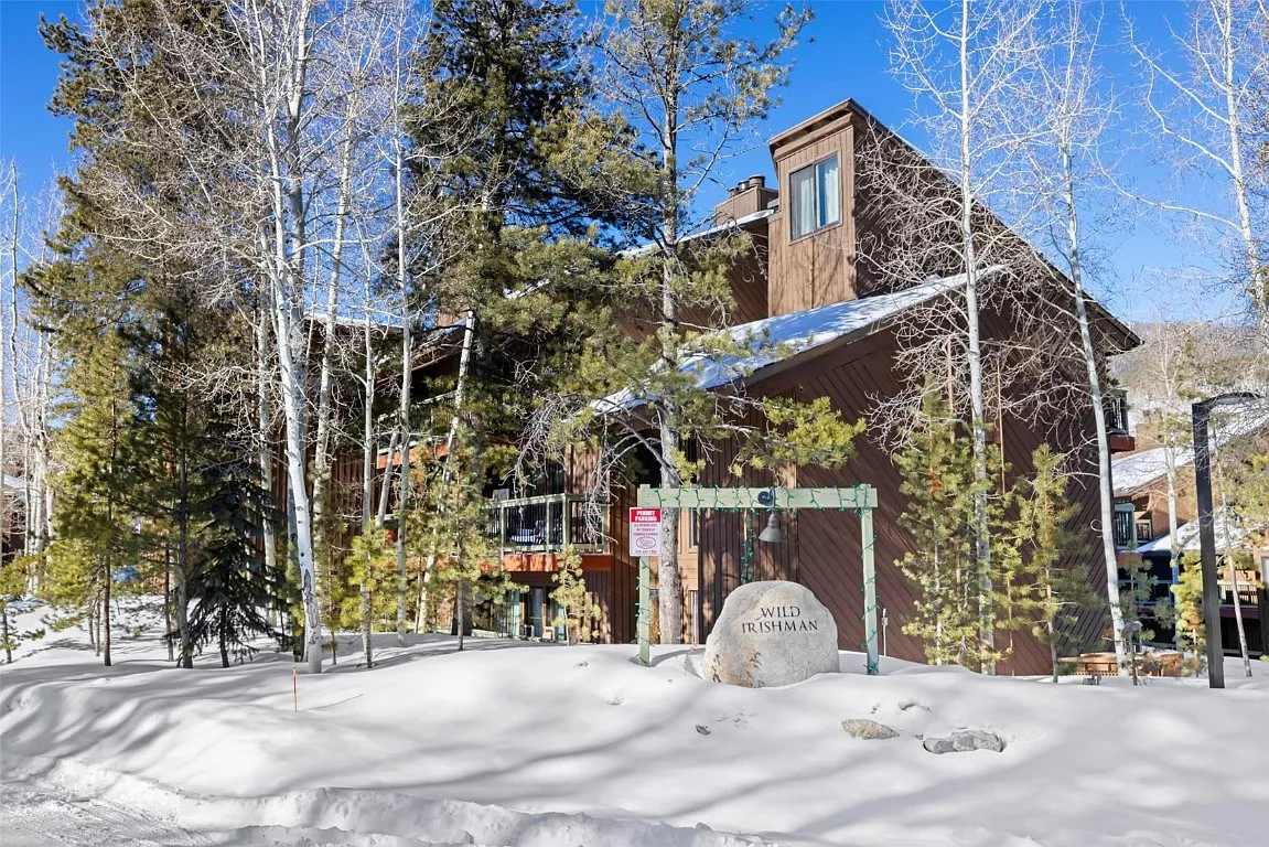 423 Wild Irishman Rd — Photo 1